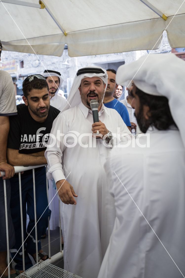Animal Bidding in Souq Waqif