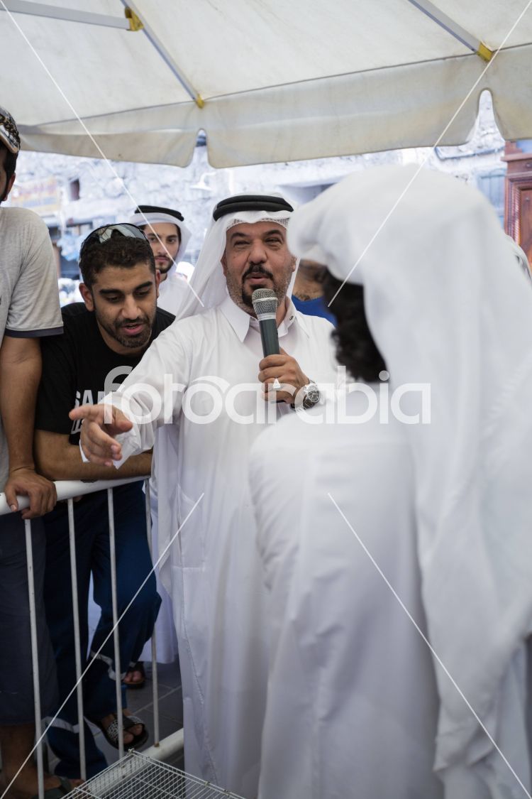 Animal Bidding in Souq Waqif