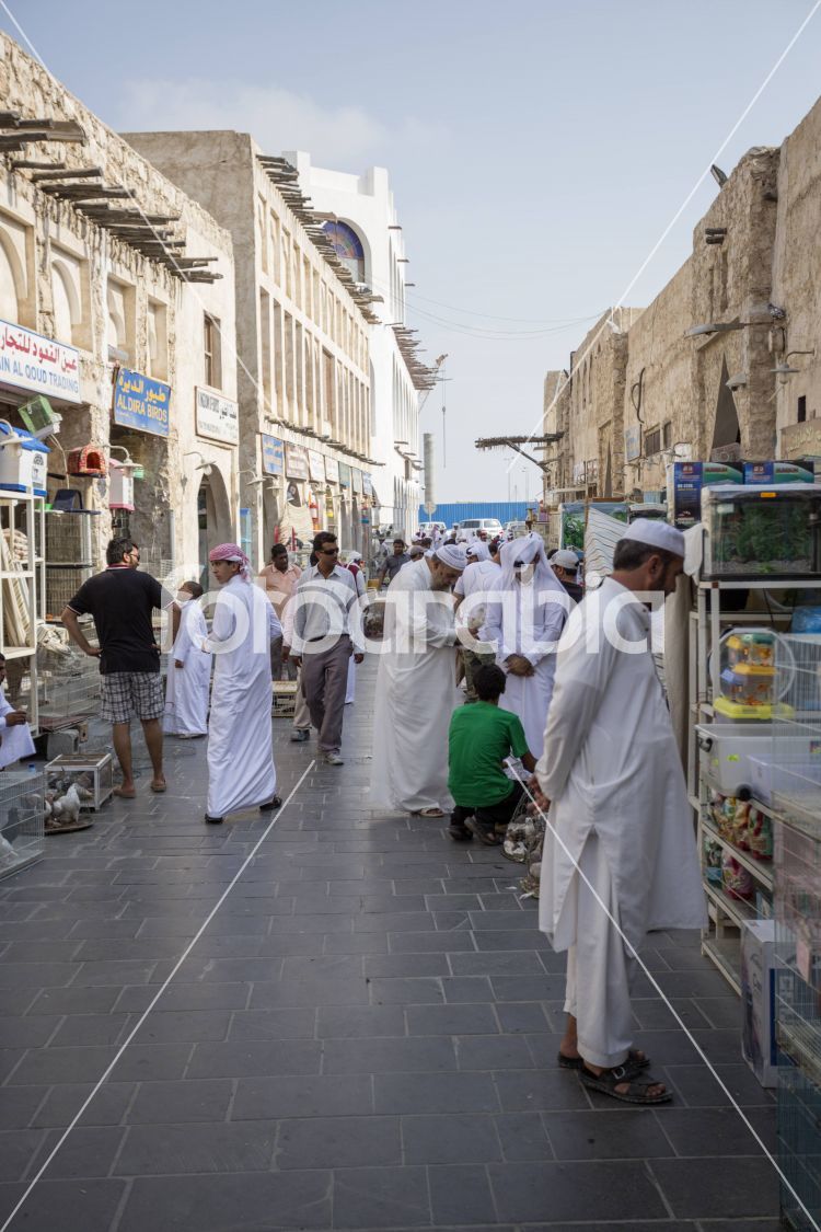 Animal Bidding in Souq Waqif