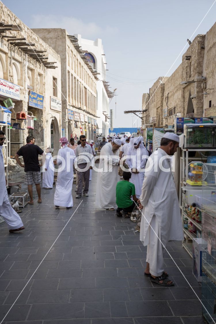 Animal Bidding in Souq Waqif