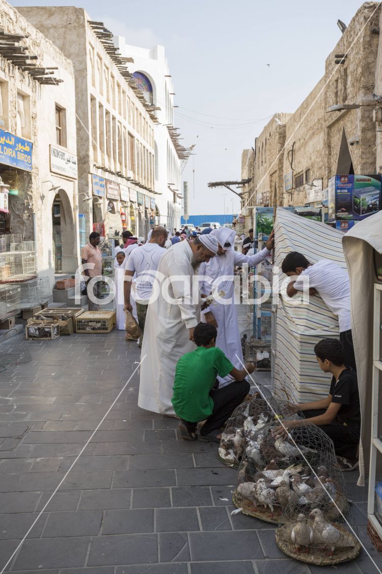 Animal Bidding in Souq Waqif