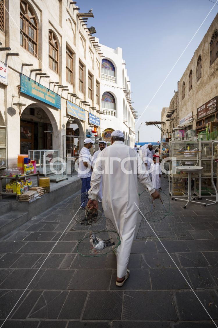 Animal Bidding in Souq Waqif