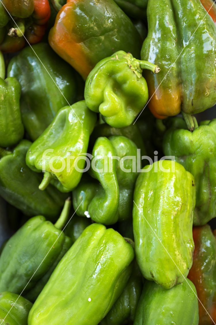 Capsicum (Solanaceae) in Wholesale Vegetable Market