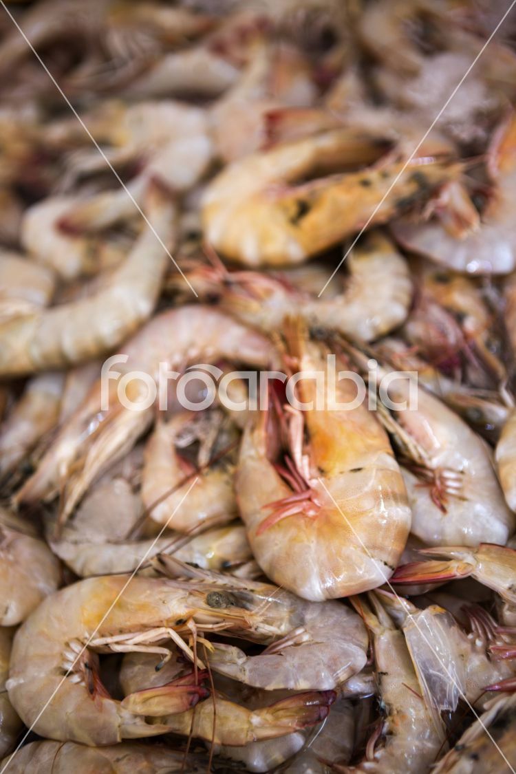 Fresh Seafood