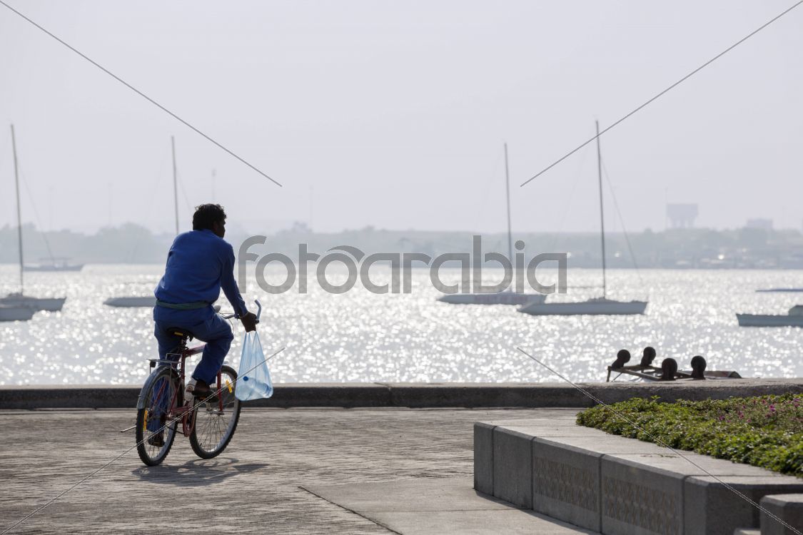 Man with bike