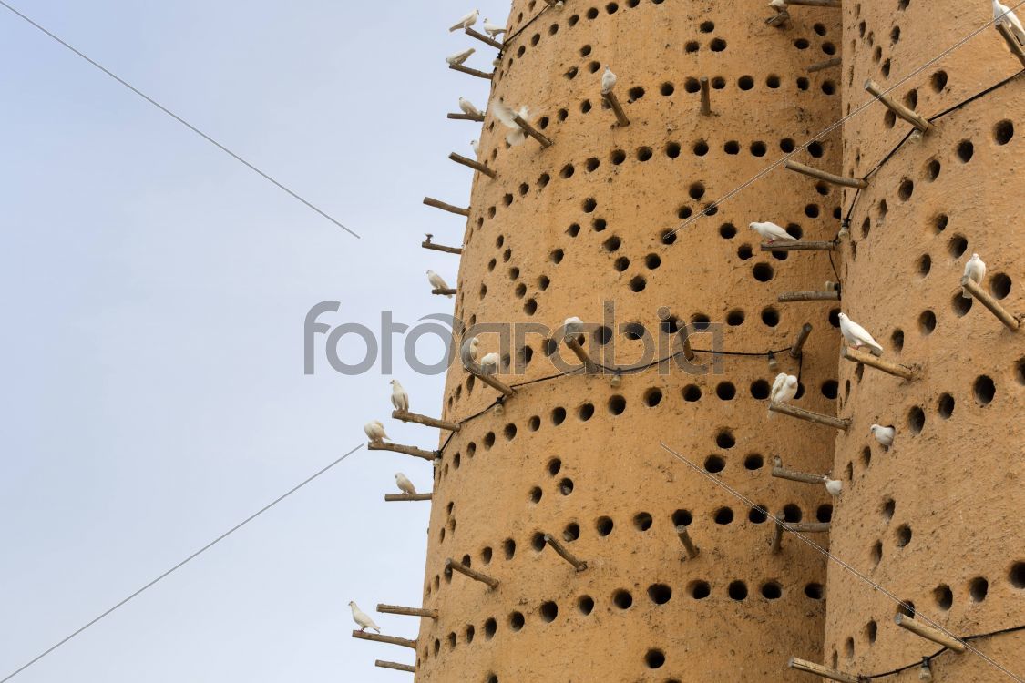 Porto Arabia in The Pearl Qatar