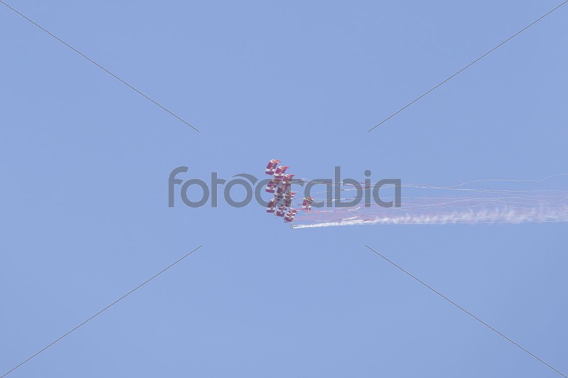 Qatar National Day Celebration