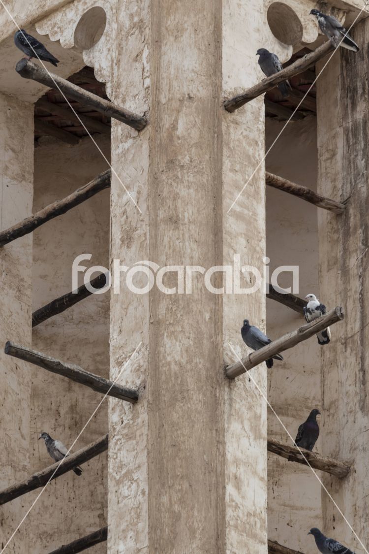 Windcatcher (malqaf) - Building with Pigeons in Souq Waqif