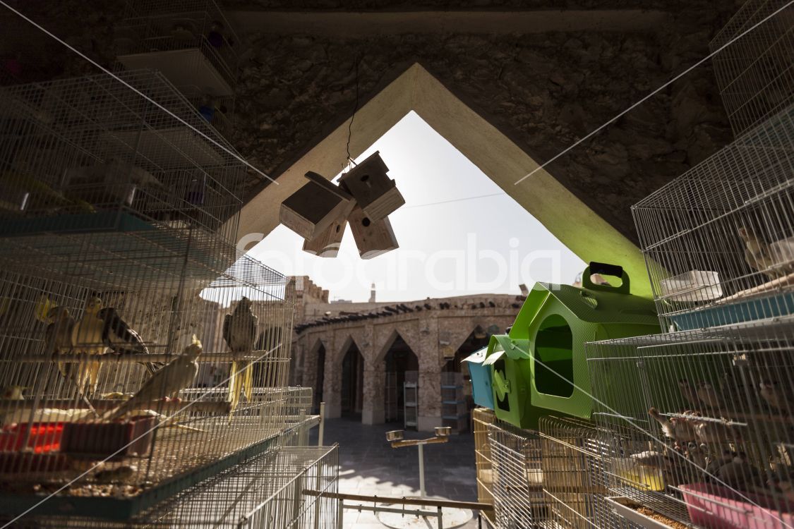 Birds and birds cages selling in Souq Waqif