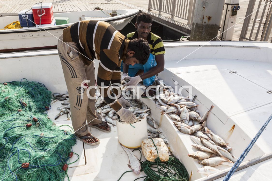 Fishermen on a boat