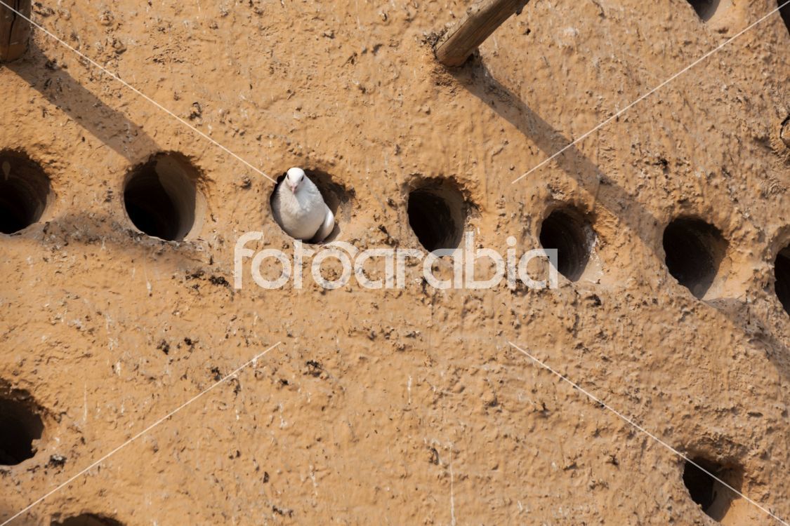 A traditional Arabian pigeon house