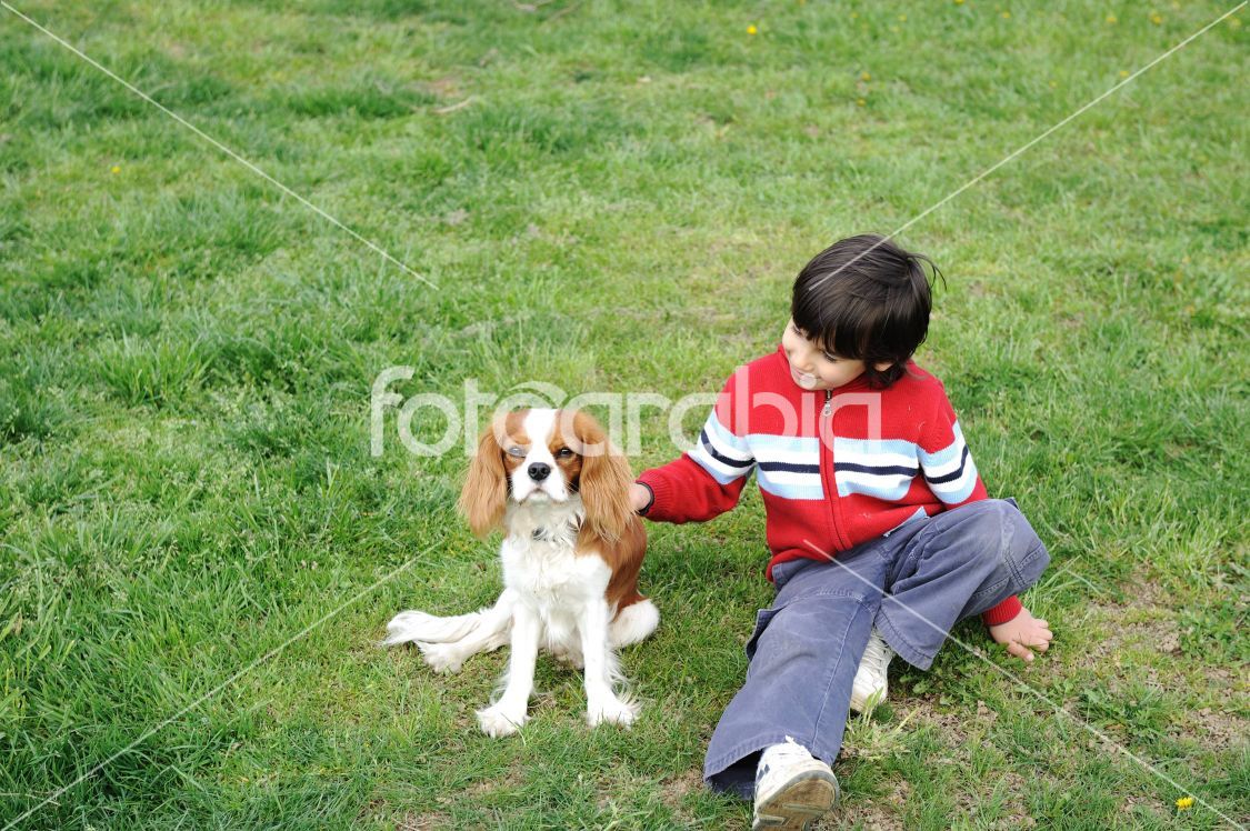 Young  boy playing with a dog