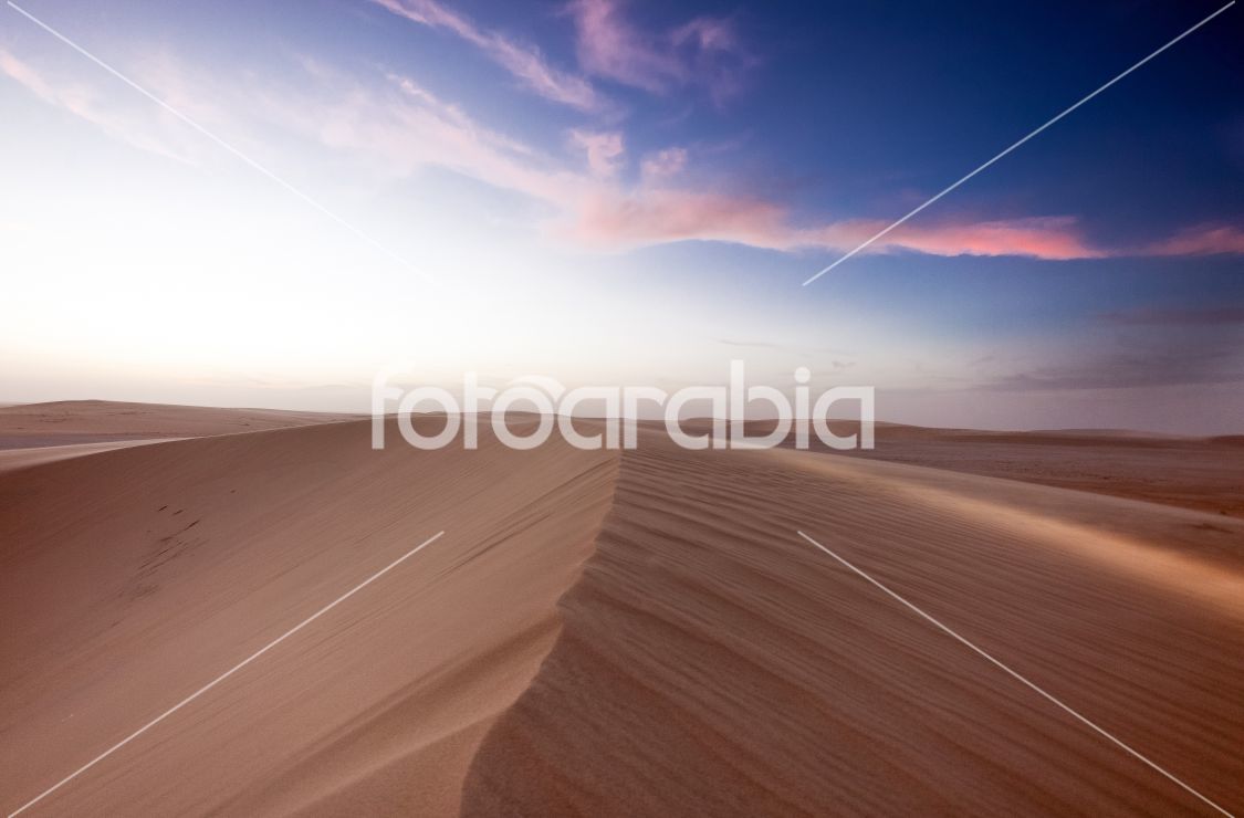 Qatar Sand Dunes