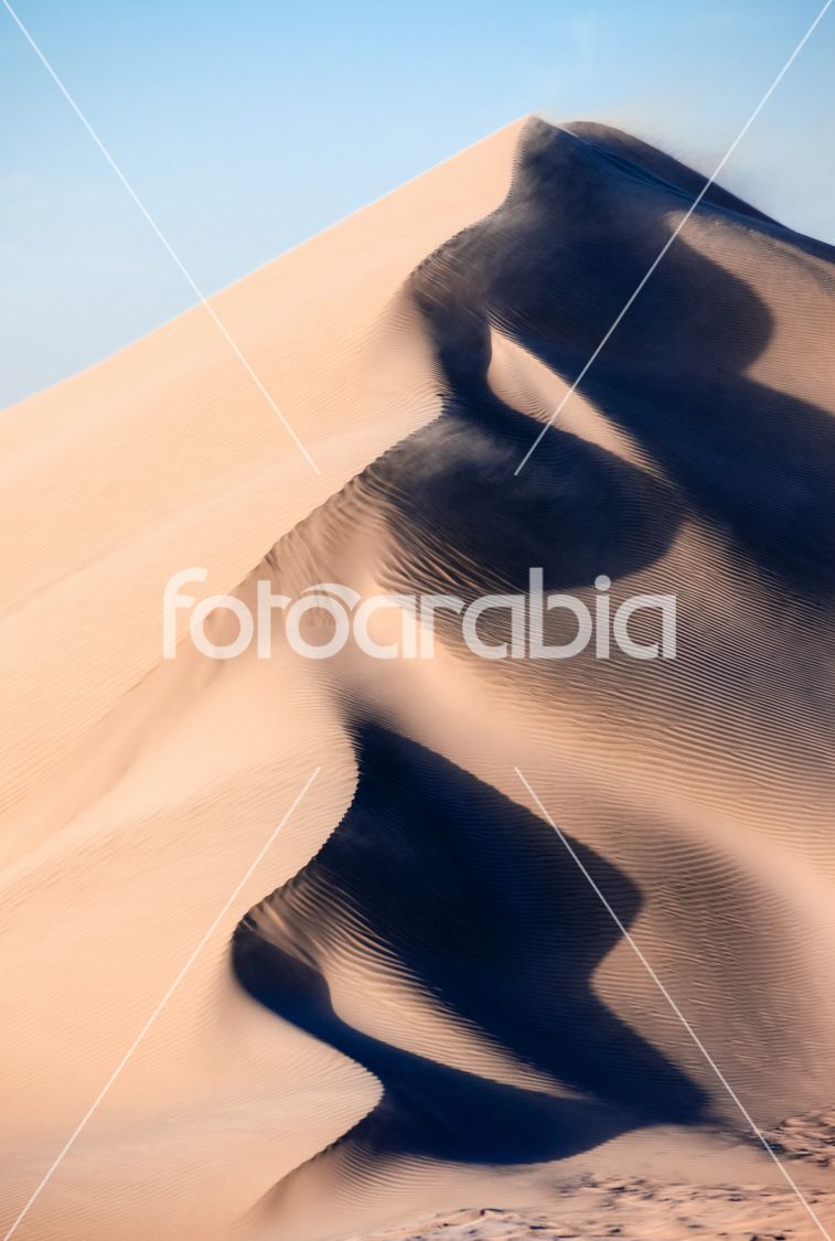 Qatar Sand Dunes