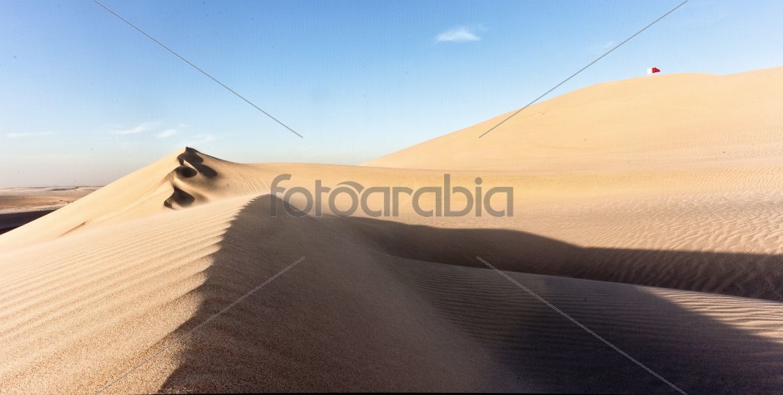 Qatar Sand Dunes