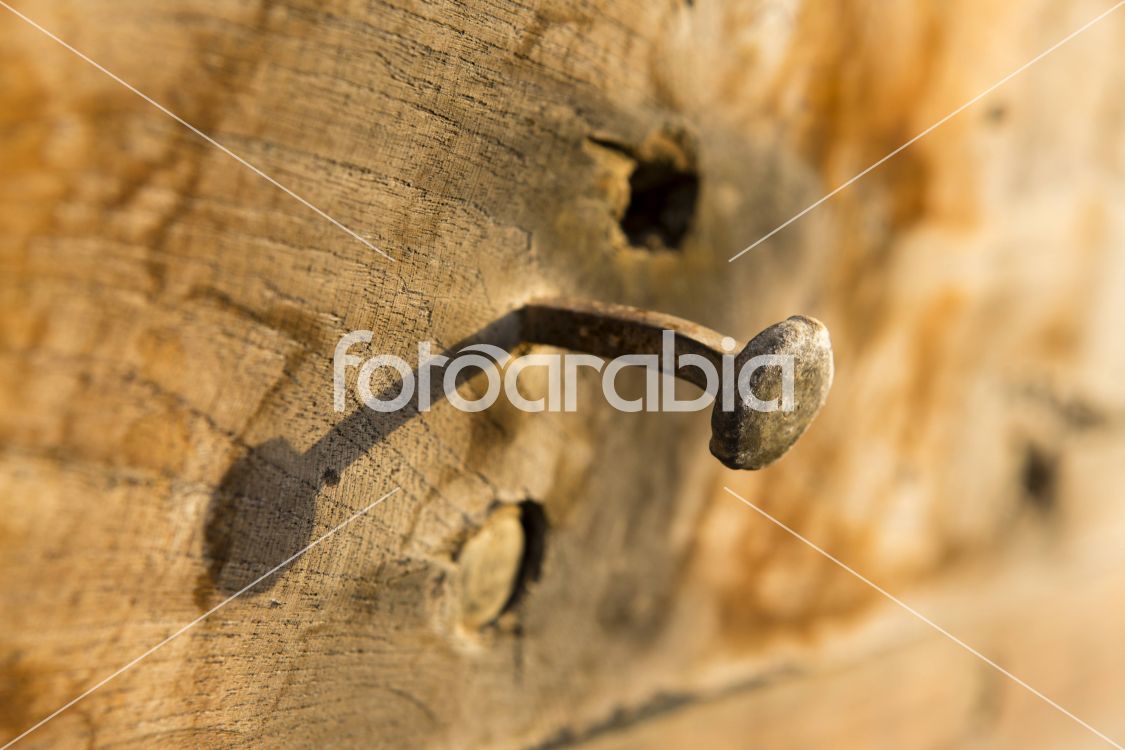 Wood Texture