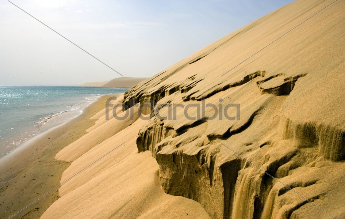 Desert in Qatar