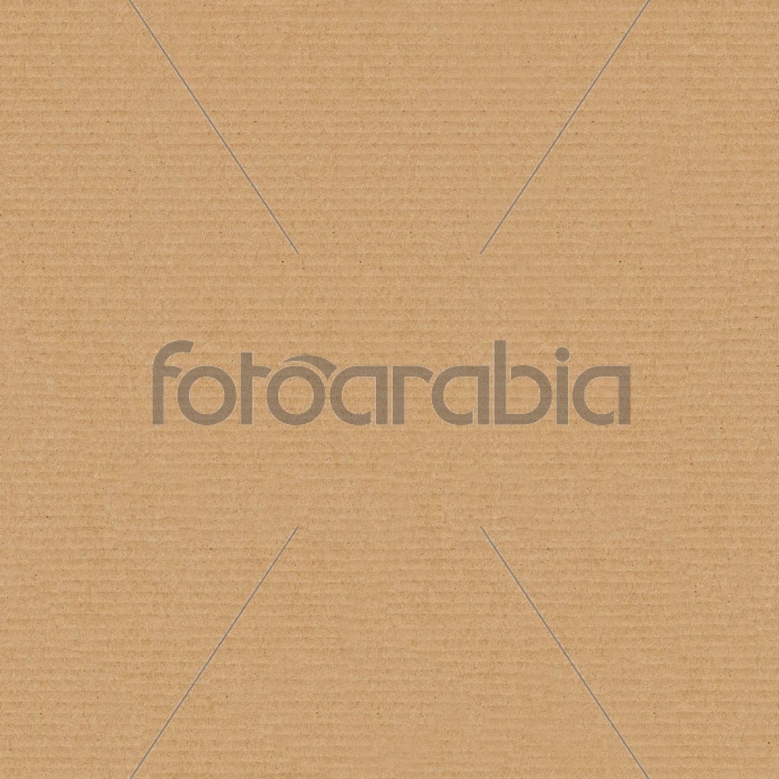 Seamless pattern of cardboard for continuous replicate.