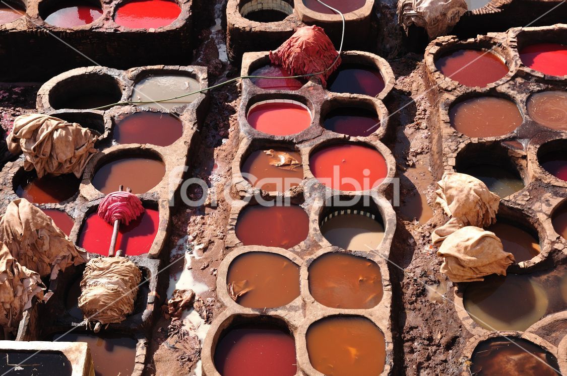 Traditional tannery in Fes, Morocco
