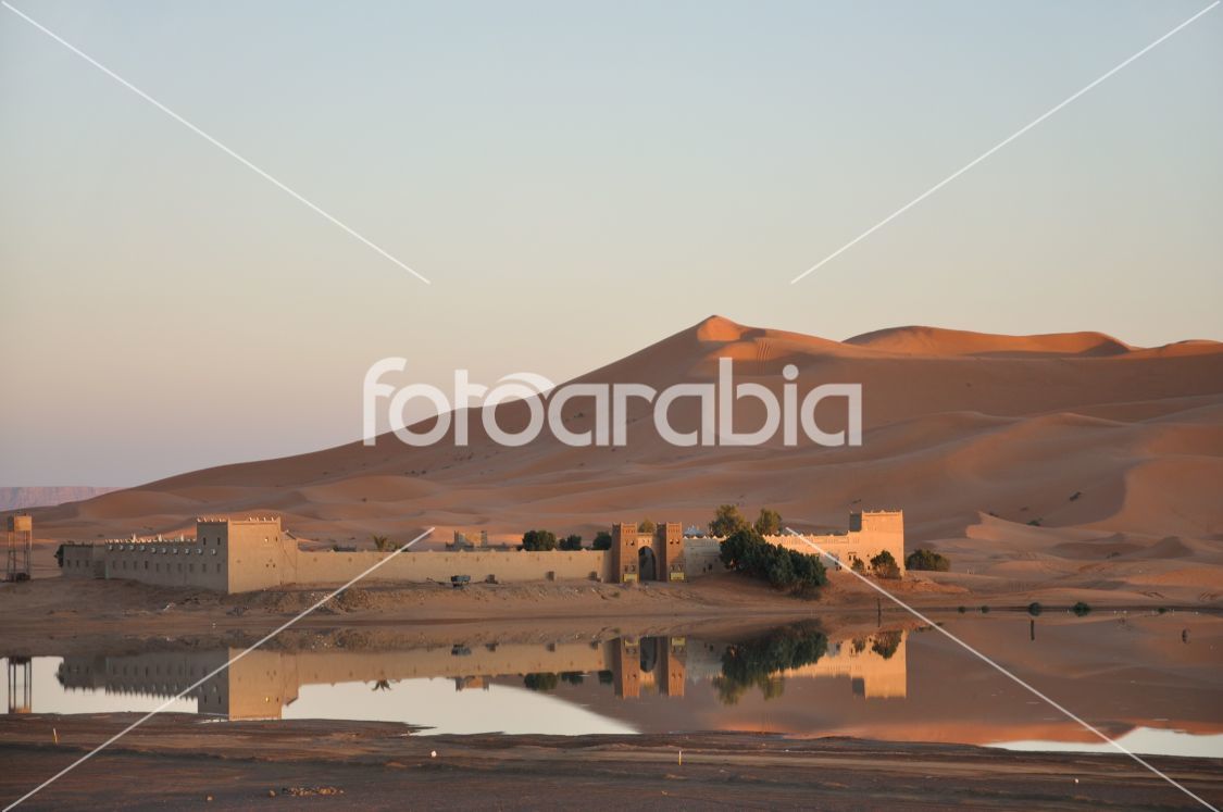 Oasis in Sahara desert, Morocco Africa