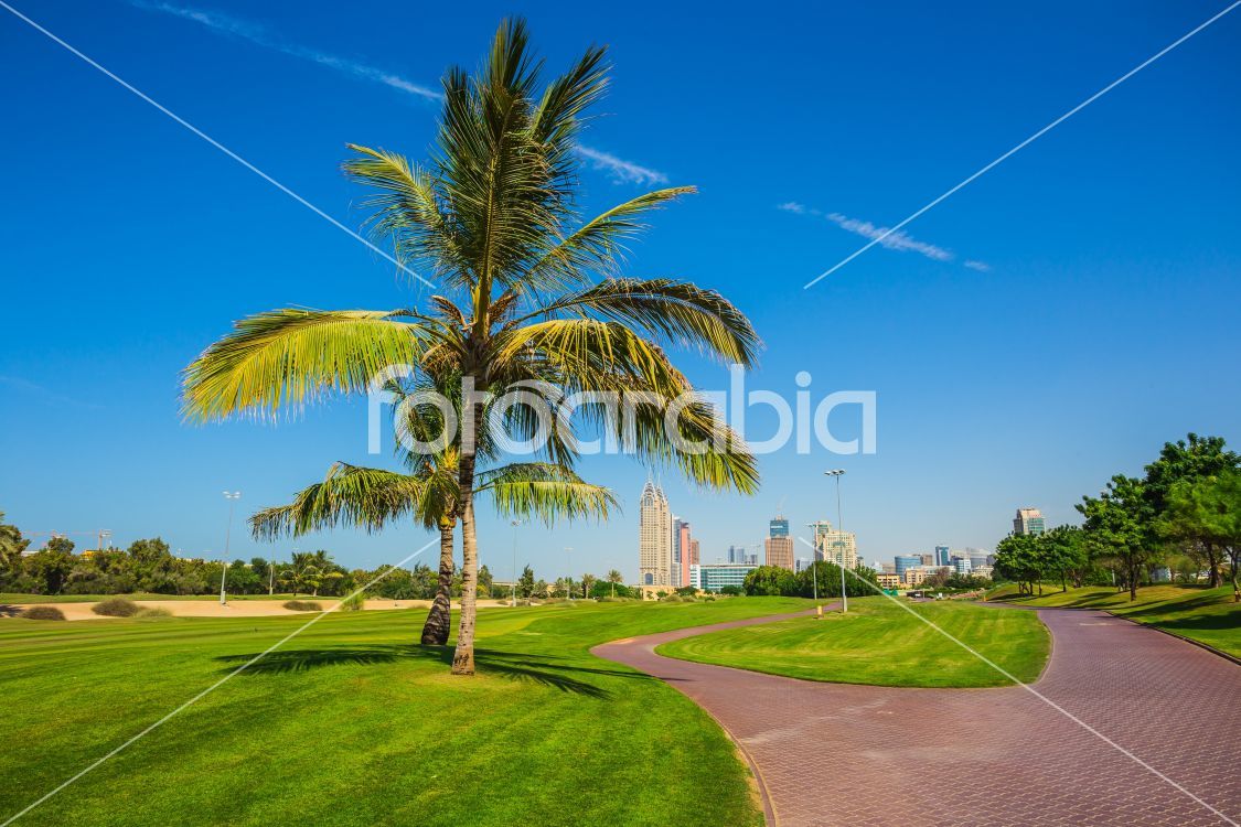 High rise buildings and streets in Dubai, UAE