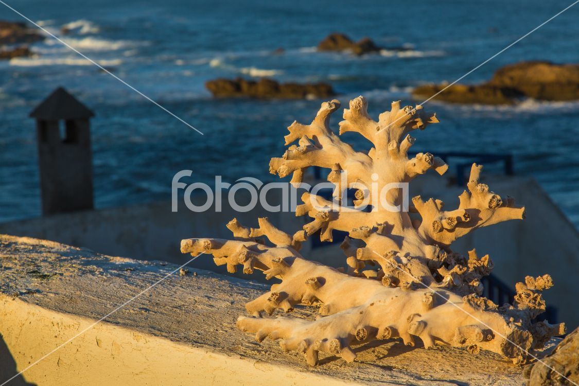 Sculpture by Atlantic Ocean - Essaouira, Morocco