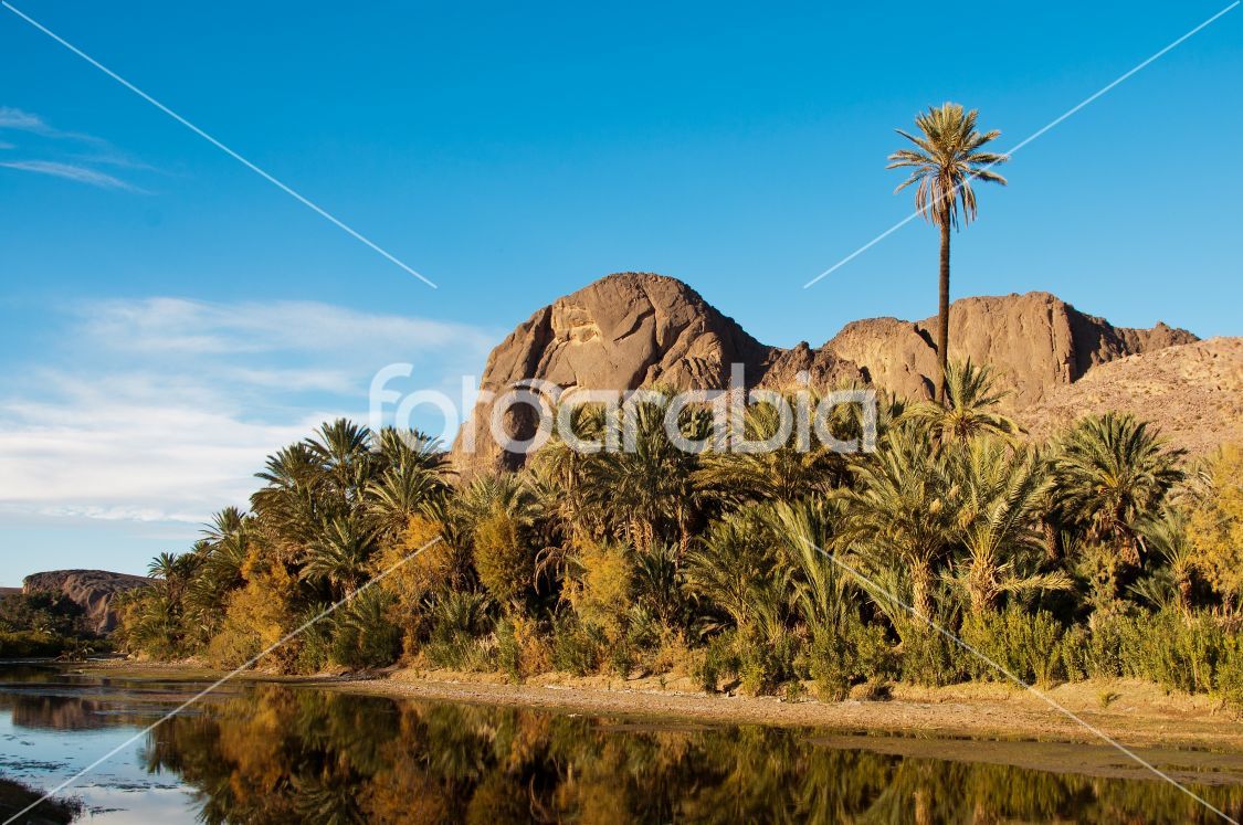 Oasis in Morocco
