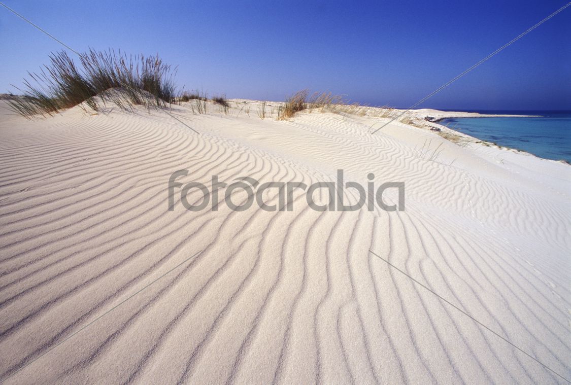dunes of white sand on the sea
