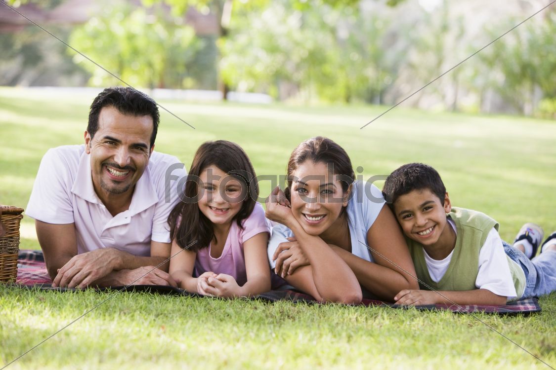 Family having picnic