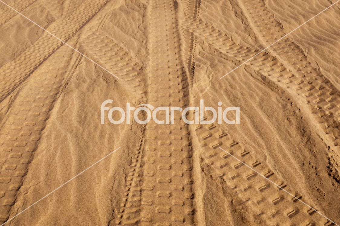 Arabian sand ripples