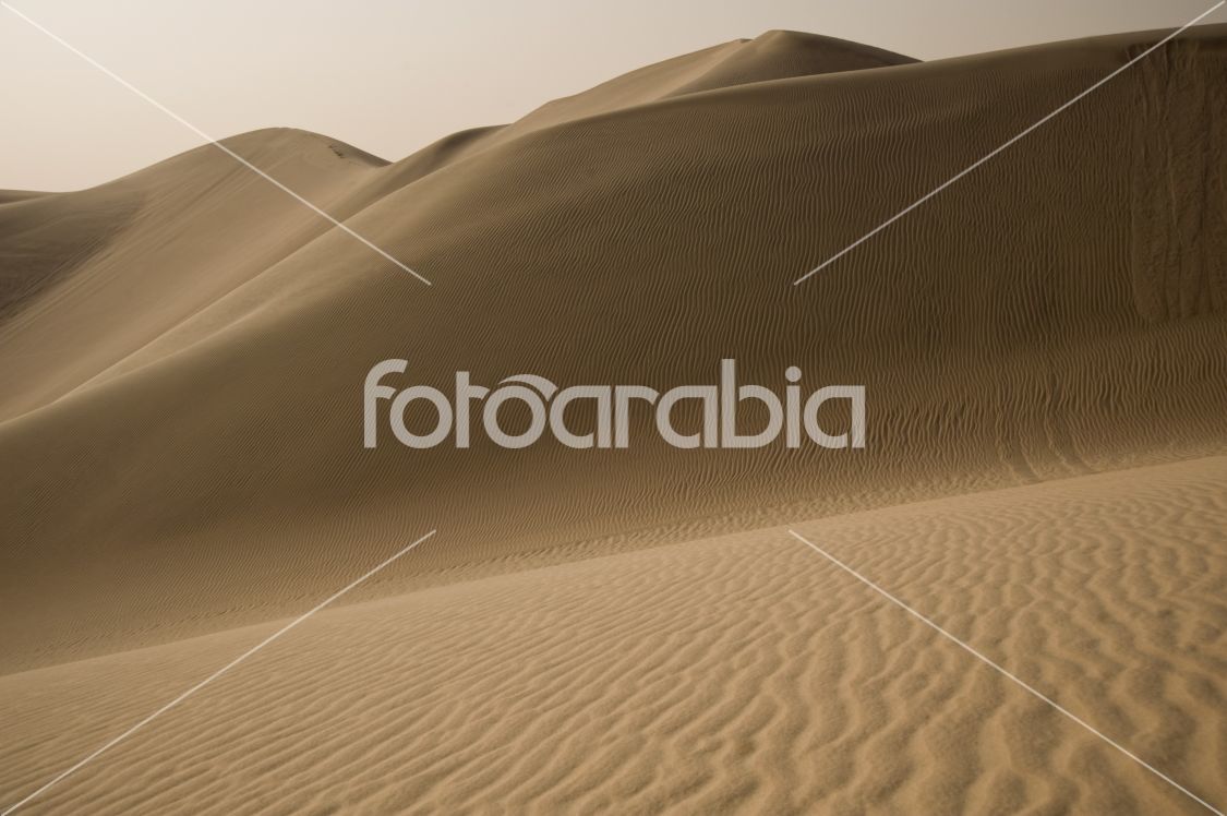Arabian sand ripples