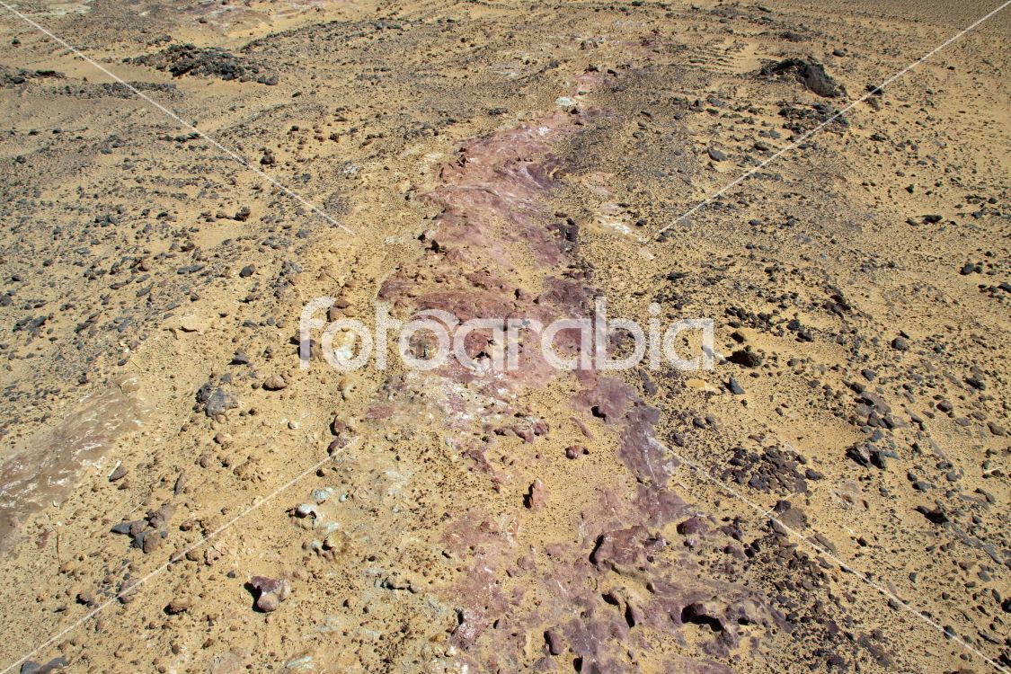 The stone in White desert ,Egypt