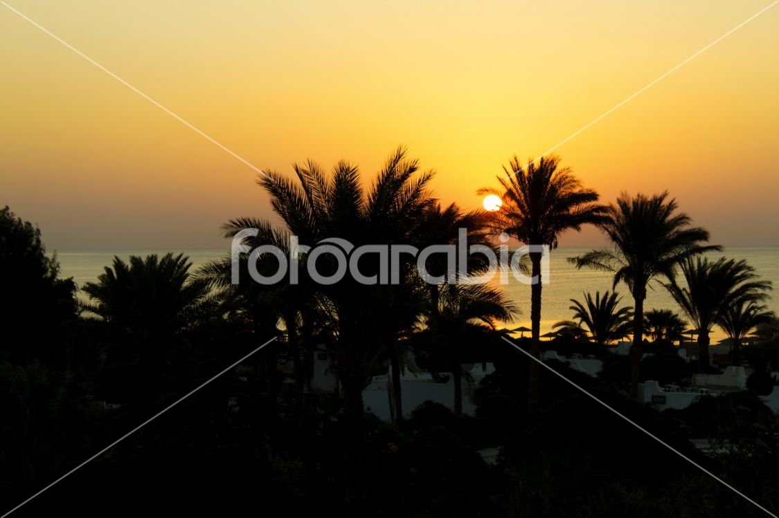 Sunrise, Red Sea, Egypt