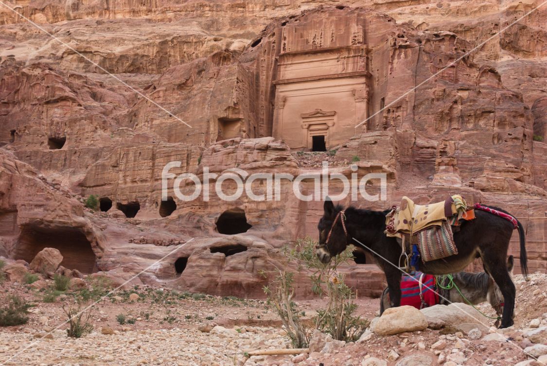 Petra, Jordan