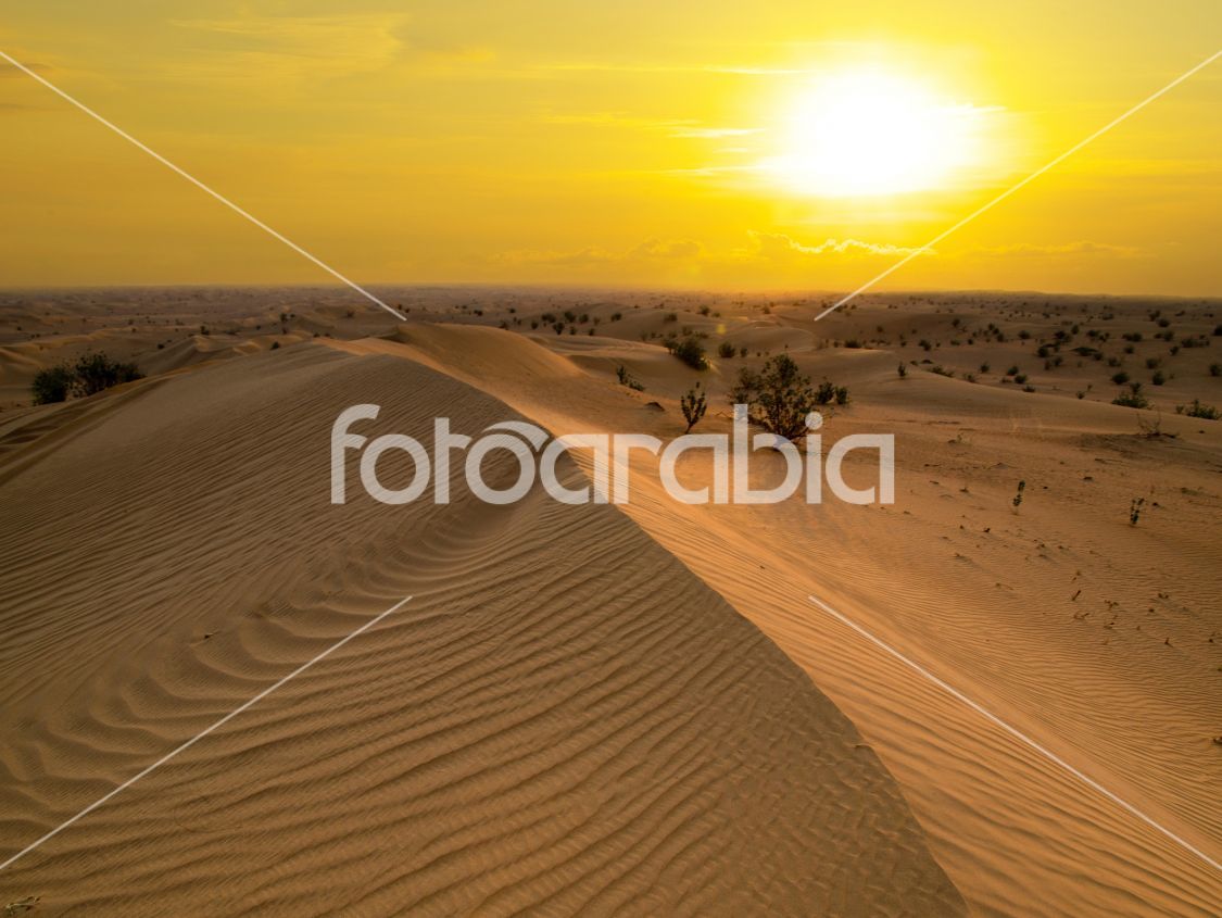 Desert