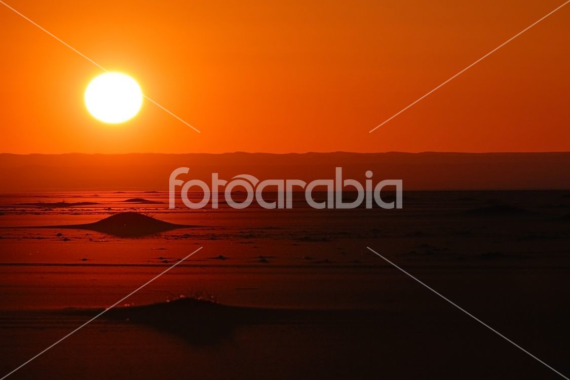 Sahara