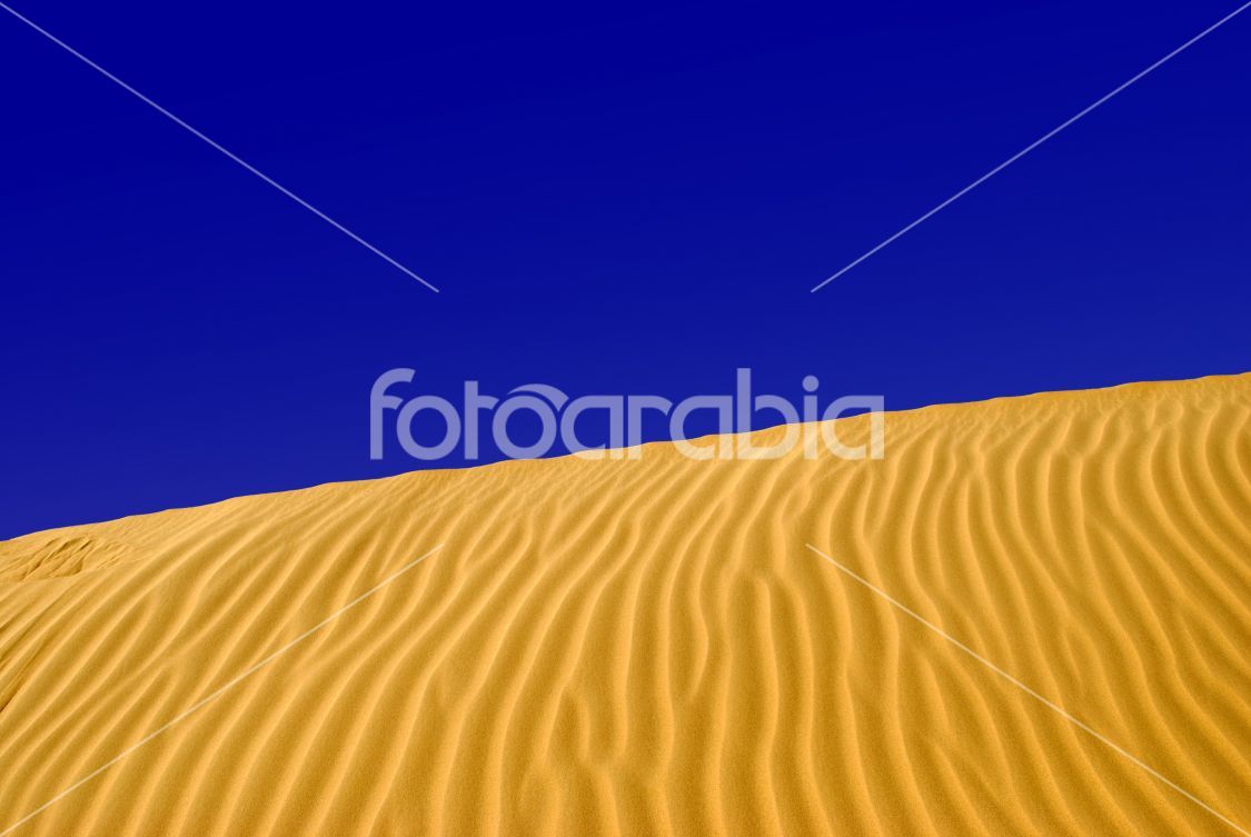 Sahara desert